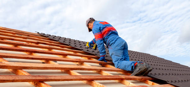 Best Chimney Flashing Repair  in Demorest, GA